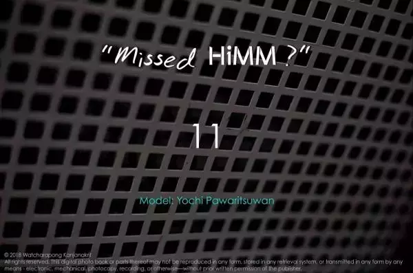HiMM 11