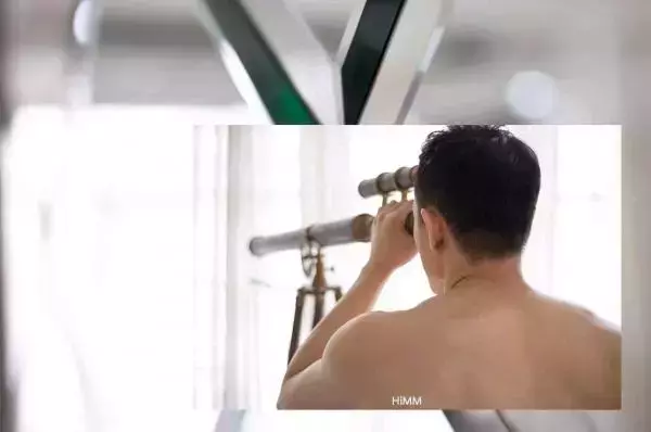 HiMM 11