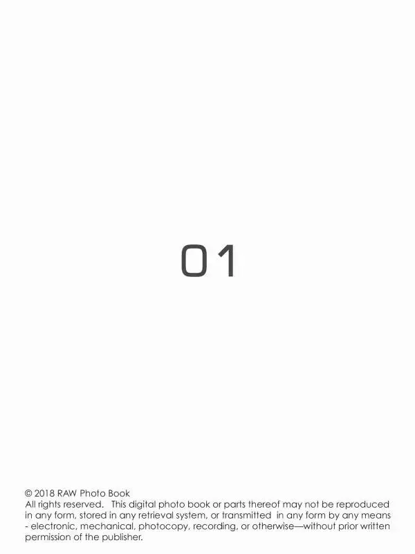 RAW Volume 01