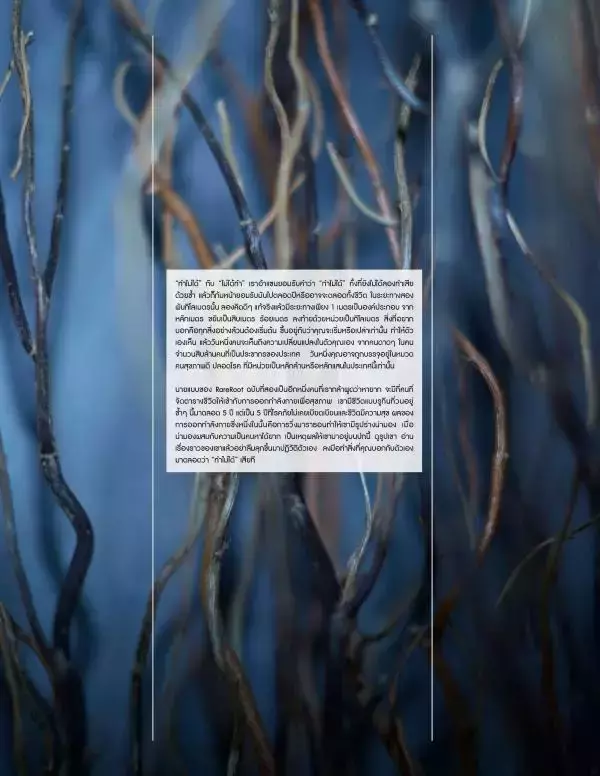 RareRoot  Issue 02 - Pee
