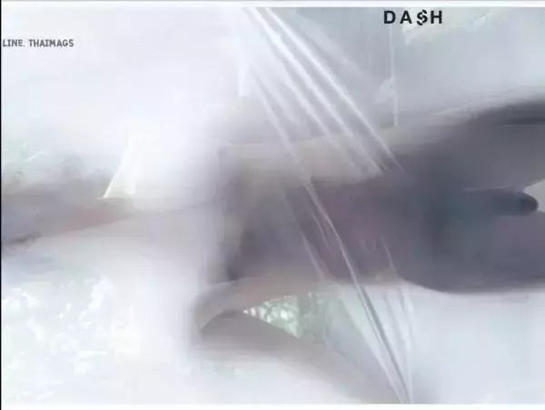 DasH 02 | Hack In My Heart