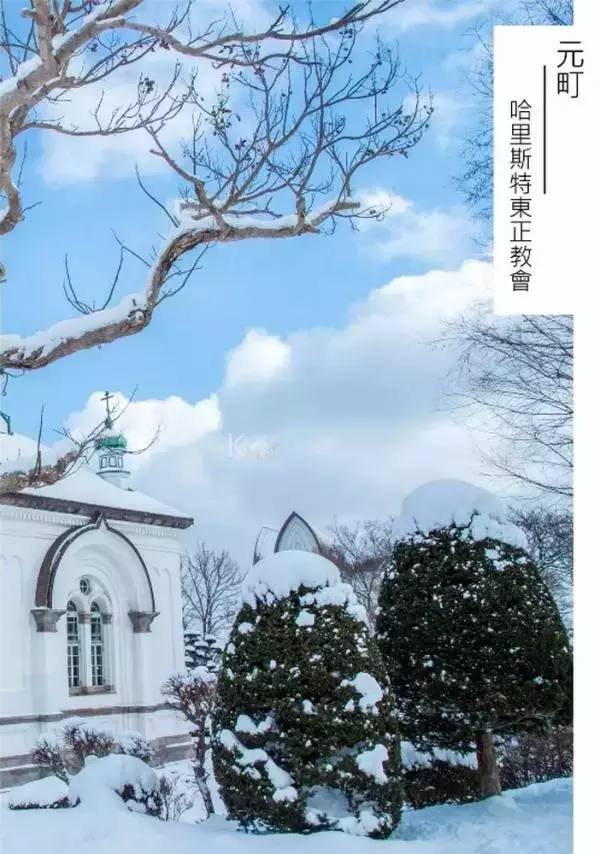 Whoseman 10 犬系男孩-安東尼 北海道特別企劃