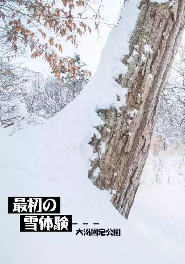 Whoseman 10 犬系男孩-安東尼 北海道特別企劃