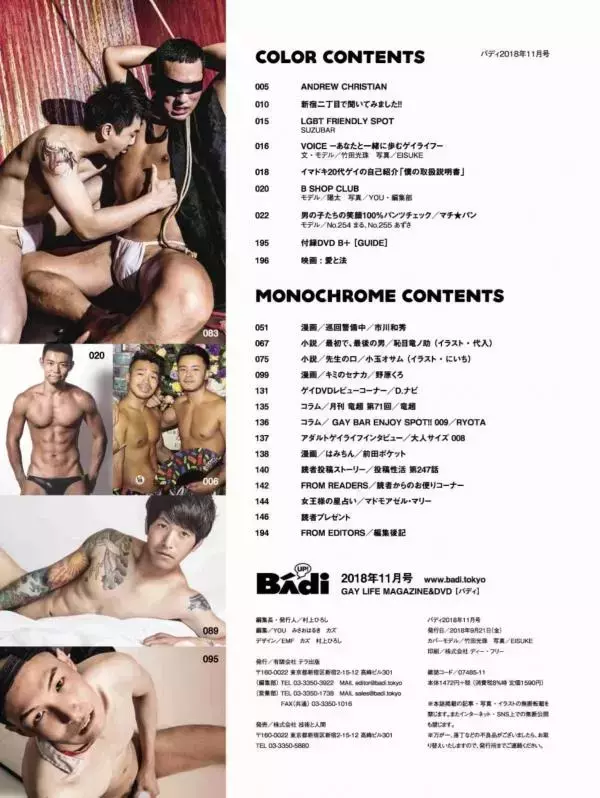 Badi November 2018