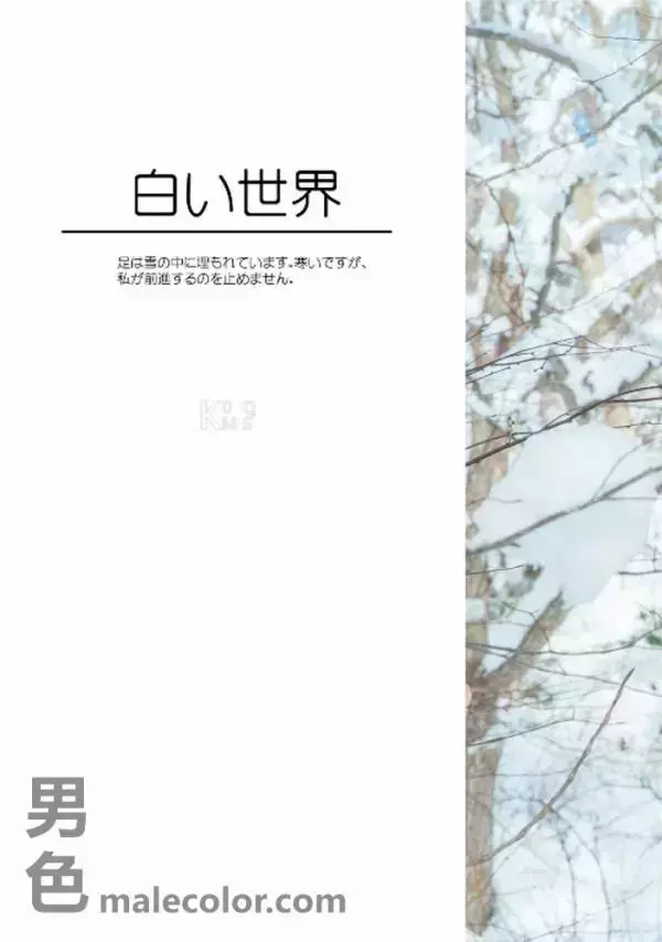 Whoseman 10 犬系男孩-安東尼 北海道特別企劃