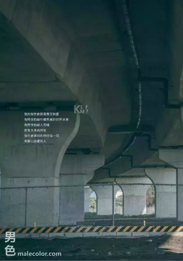 Whoseman 7 平面男模 蔡洋洋 - 藝術全見版