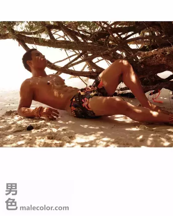 Homme 6 精壯美男魚