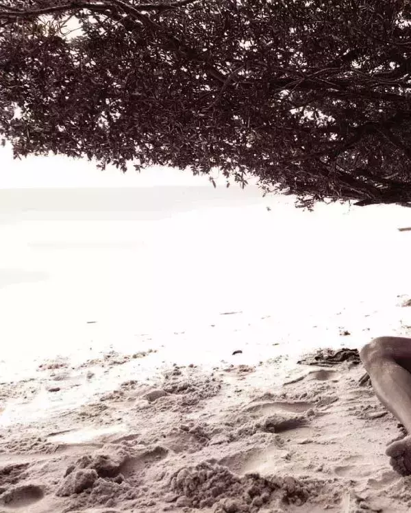 Homme 6 精壯美男魚