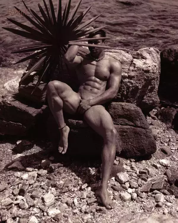 Homme 6 精壯美男魚