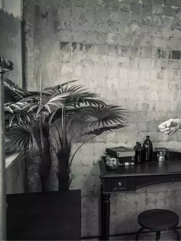 HiMM 10