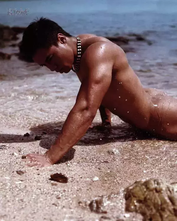 Homme 6 精壯美男魚