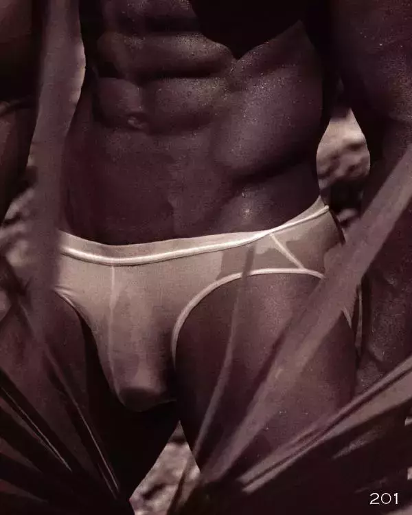Homme 6 精壯美男魚