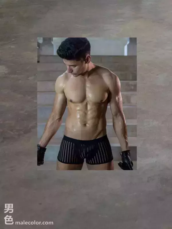 HiMM 10