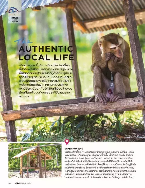 Attitude April 2018