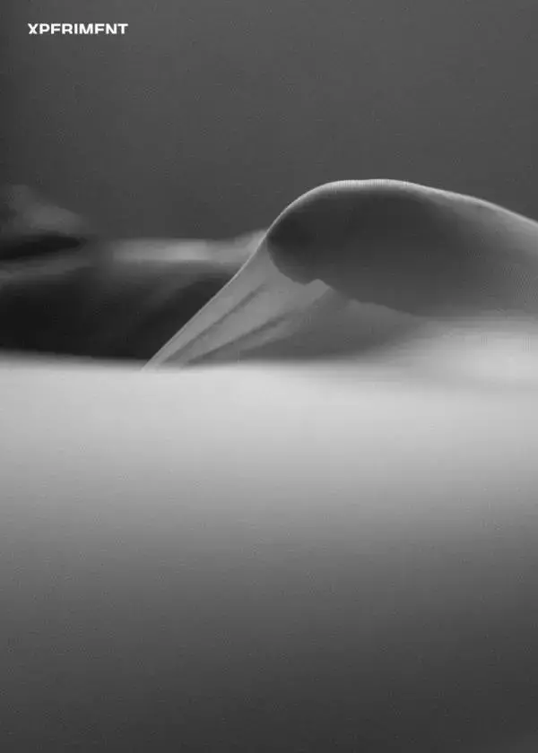 XPERIMENT SPECIAL 02 | SinGle Men Special