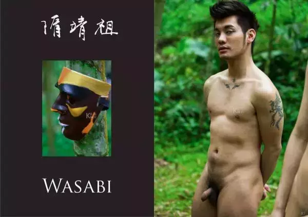 Thirty Years of Adonis - Past Life 翔男優 No.6 三十ㄦ立 前世