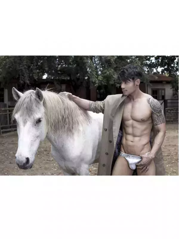 HiMM 4