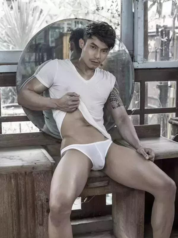 HiMM 4