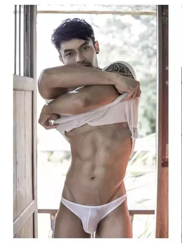 HiMM 4