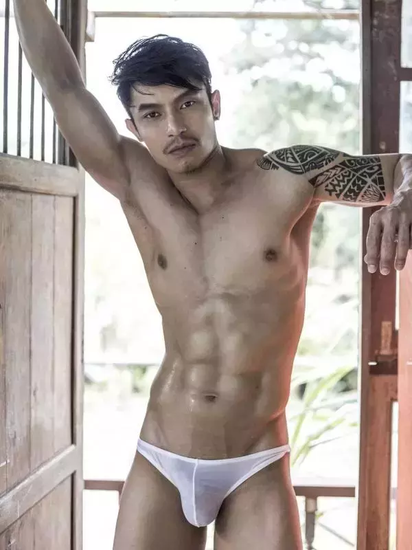 HiMM 4