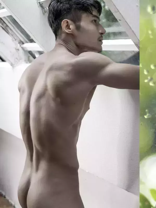 HiMM 4
