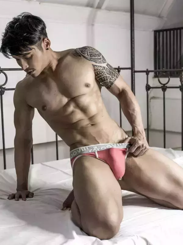 HiMM 4