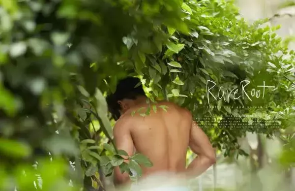 RareRoot Issue 01 – Nut