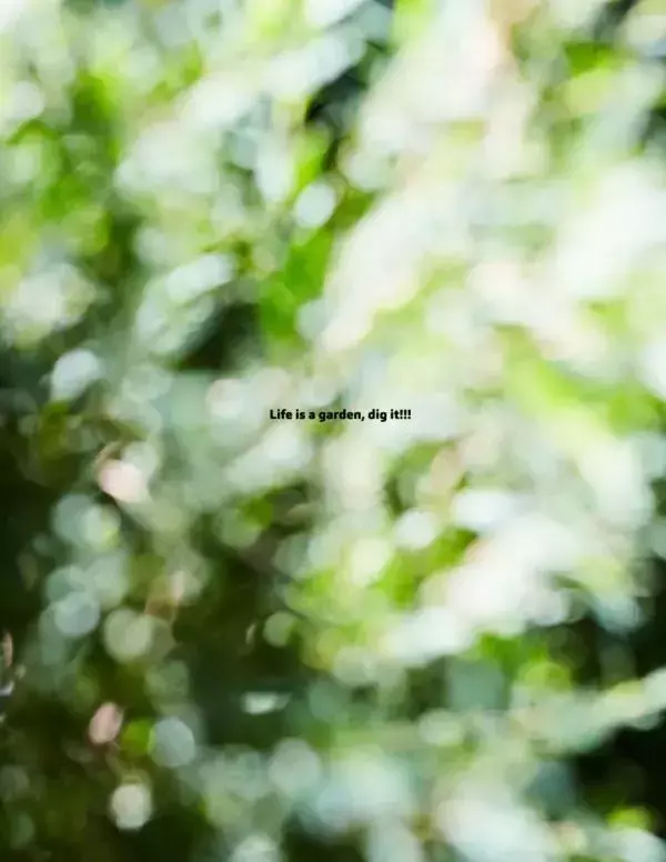 RareRoot Issue 01 - Nut