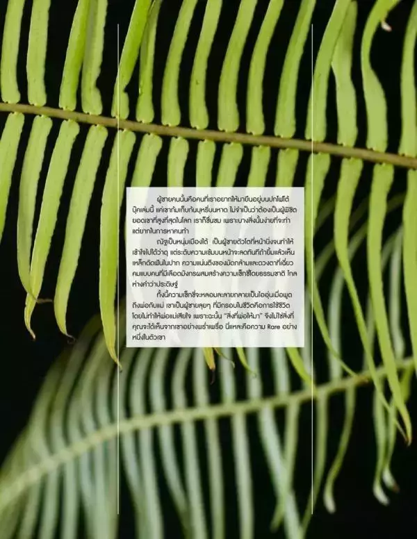 RareRoot Issue 01 - Nut