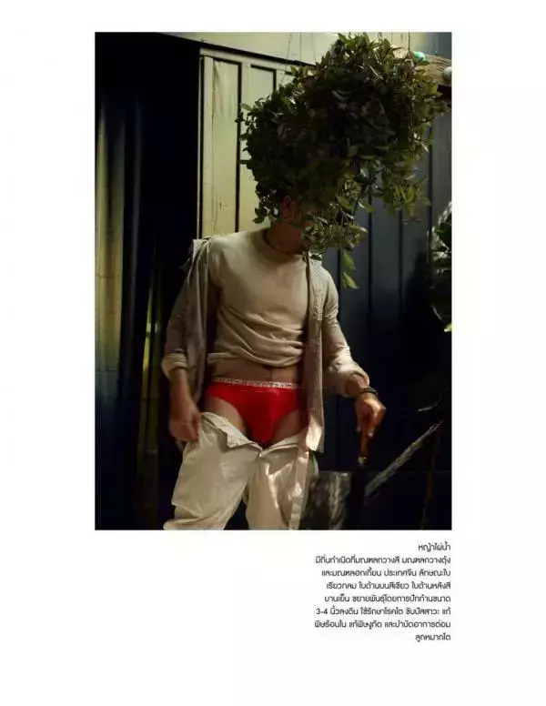 RareRoot Issue 01 - Nut