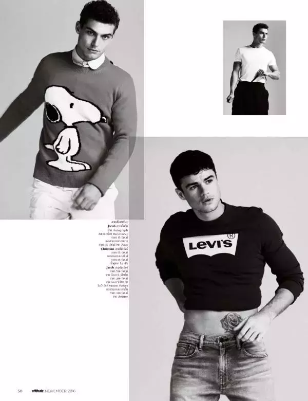 Attitude November 2016