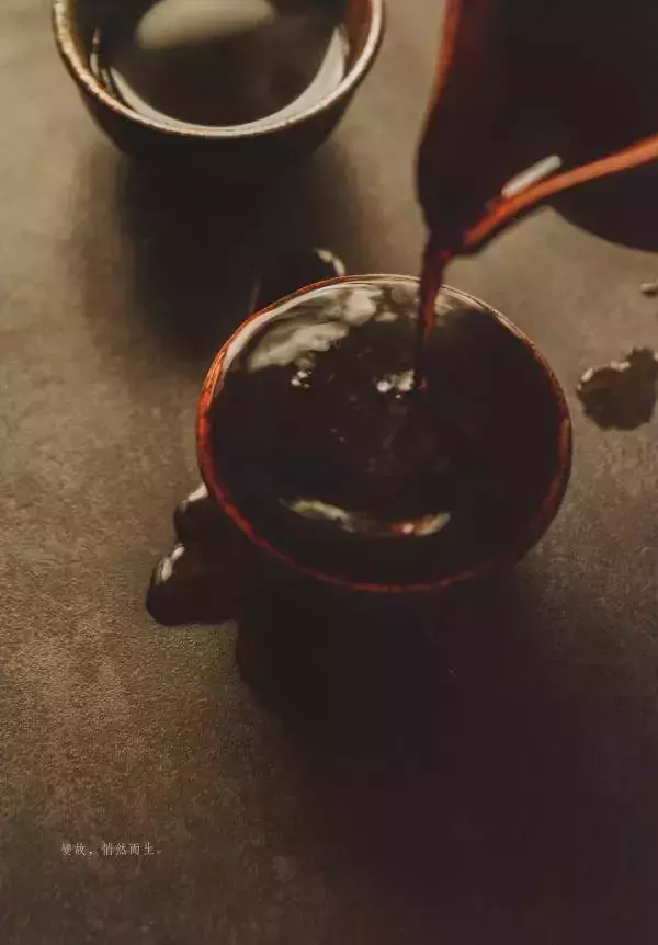 謝梓秋男性ヌード写真集「LOVE Entanglement」 茶顏