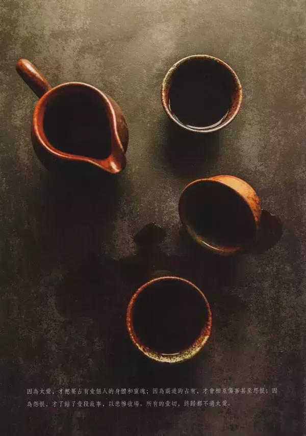 謝梓秋男性ヌード写真集「LOVE Entanglement」 茶顏