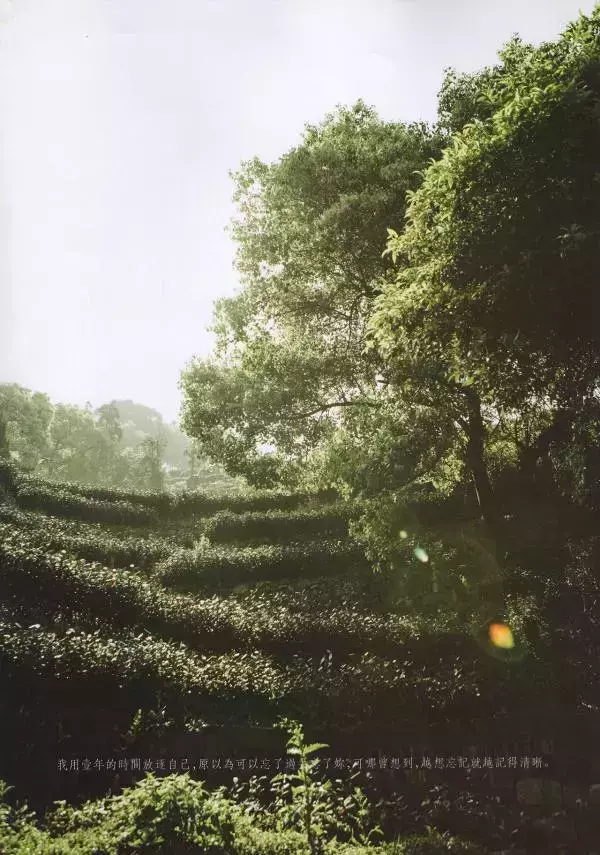 謝梓秋男性ヌード写真集「LOVE Entanglement」 茶顏