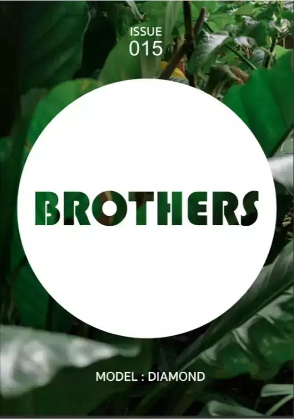 Brothers Vol.15 - Diamond