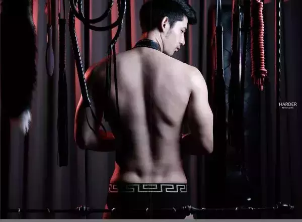 Harder 7