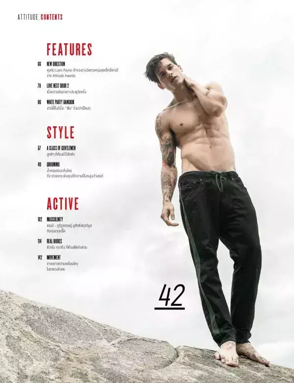 Attitude November 2015