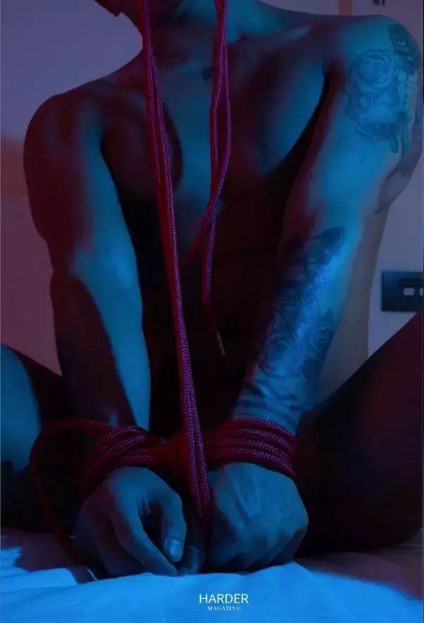 Harder 4