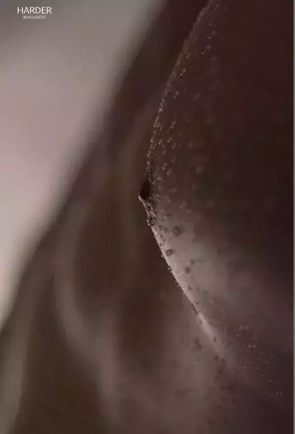 Harder 4