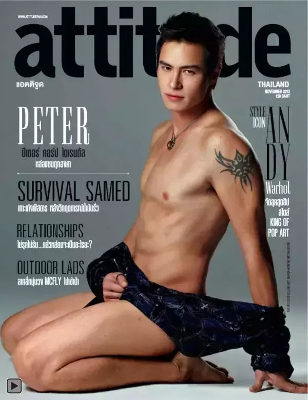 Attitude November 2013