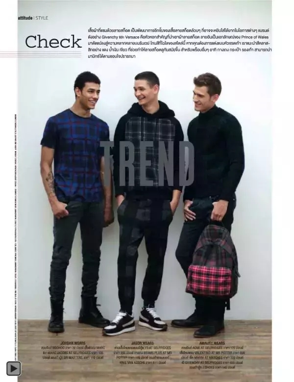 Attitude January 2014