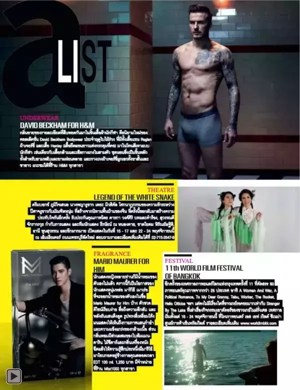 Attitude November 2013