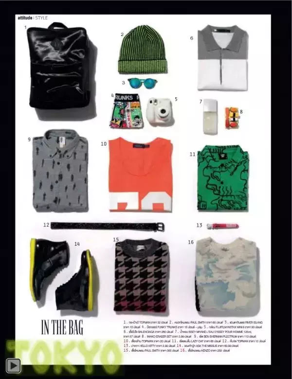 Attitude November 2013
