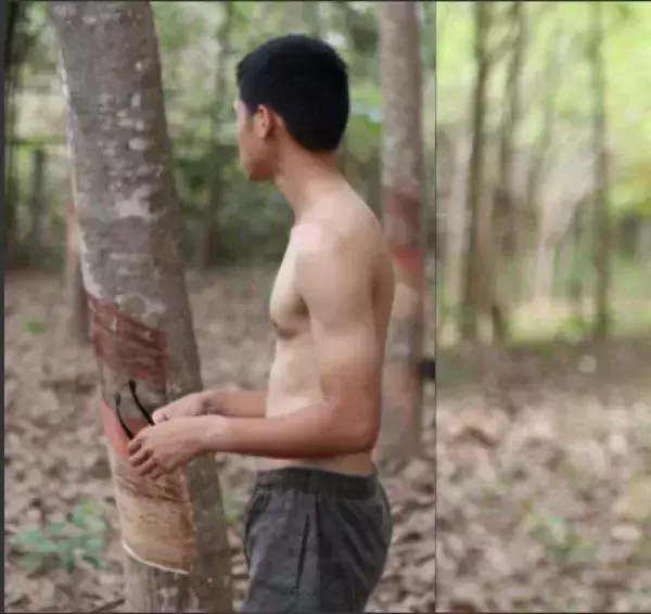 Alexis Men 2