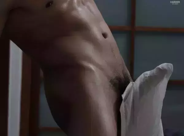 Harder 6