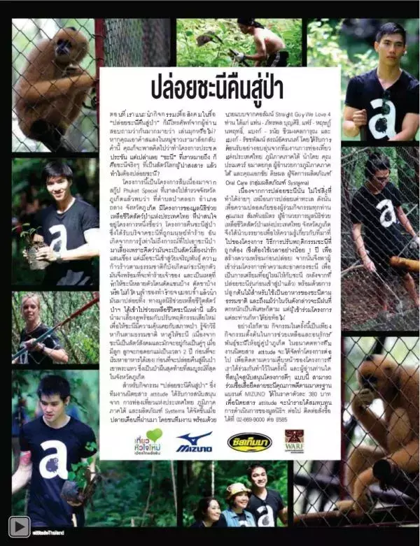 Attitude October 2012
