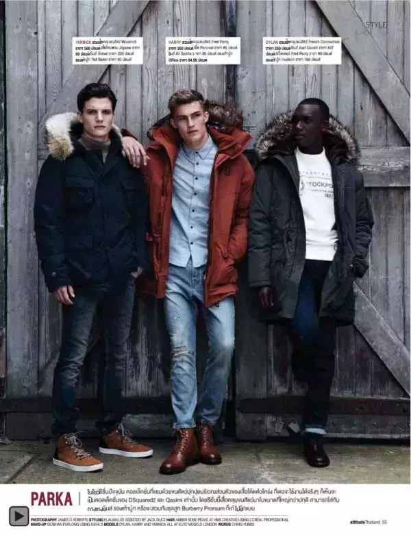 Attitude November 2012
