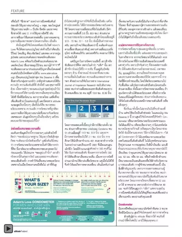 Attitude November 2012