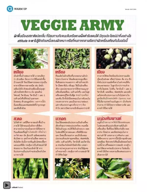 Attitude August 2012