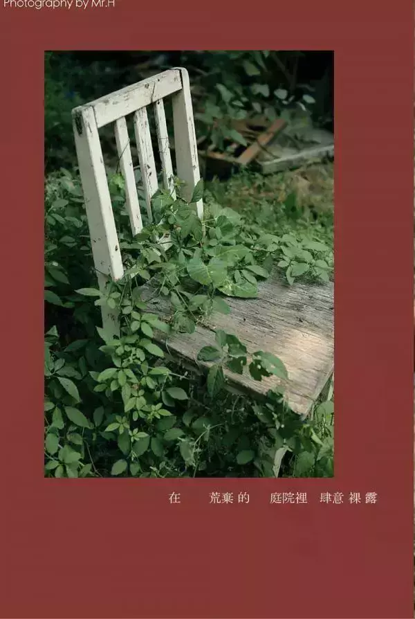 [PHOTO SET] HIGH 52 VERSION 2 - THE TIME IS RIPE